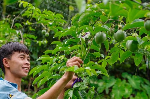 Truyền cảm hứng cho thanh niên Lai Châu thoát nghèo