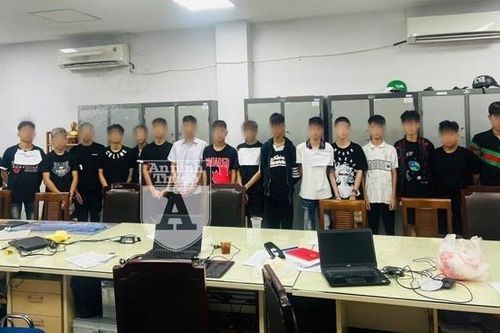 2 'báo thủ' hầu tòa vì sự côn đồ