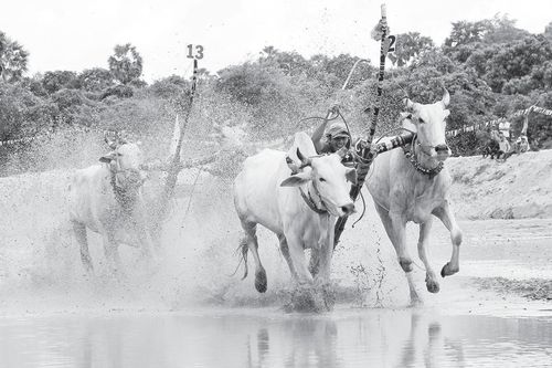 Ô Lâm đánh thức tiềm năng di sản văn hóa