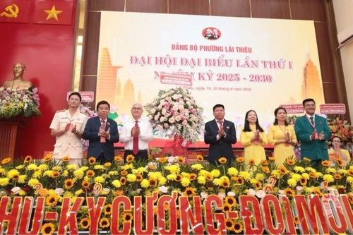 Đảng bộ phường tại TP Hồ Chí Minh cần sớm quy hoạch, định hình không gian phát triển mới
