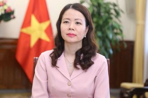 Việt Nam và Trung Đông-châu Phi: Vững bước tiến vào kỷ nguyên mới