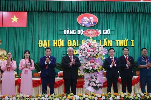 Thực hiện hiệu quả dự án Khu đô thị lấn biển Cần Giờ, mở ra không gian phát triển mới