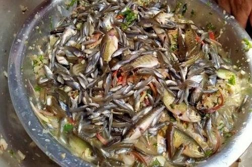 Gỏi cá nhảy Sơn La đặc sản 'thót tim' khiến du khách vừa sợ vừa mê