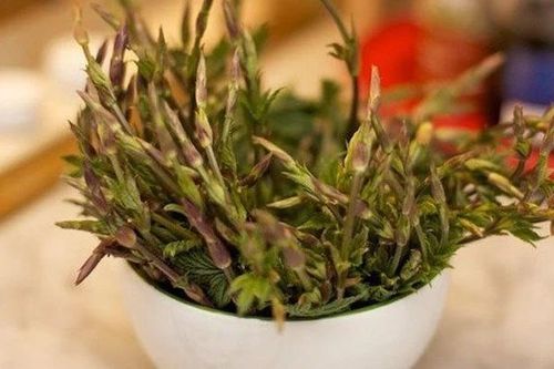 'Sửng sốt' loại rau từng bị vứt bỏ, nay 39 triệu đồng/kg