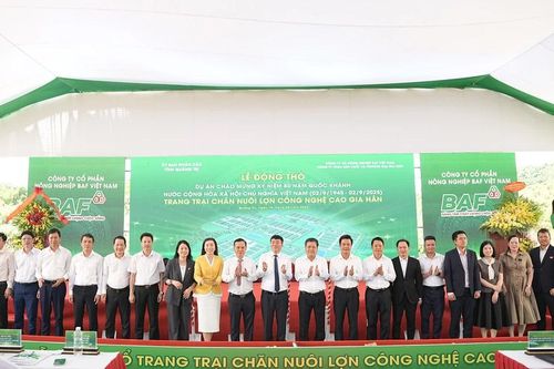 BAF triển khai trang trại chăn nuôi lợn công nghệ cao 2.000 tỷ đồng tại Quảng Trị