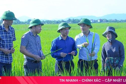 Chủ động phòng trừ dịch bệnh trên cây trồng, vật nuôi
