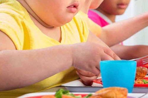 Kiểm soát khẩu phần ăn - giải pháp ngăn ngừa béo phì ở trẻ em