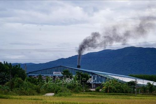 Xử lý nghiêm việc đốt vải tại các lò gạch gây ô nhiễm môi trường