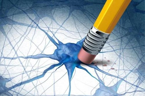 Khám phá hợp chất tự nhiên có khả năng loại bỏ protein gây bệnh Alzheimer
