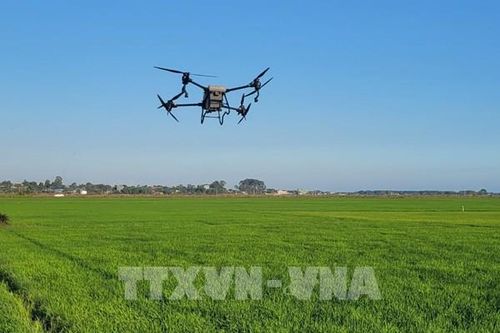 80 năm hành trình đổi mới cùng đất nước: Ưu tiên chọn lọc dòng vốn FDI xanh - Bài 2: Cơ hội nâng tầm khu vực tư nhân