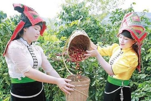 Cần kết hợp hỗ trợ năng lực cá nhân với thay đổi nhận thức cộng đồng về quyền năng kinh tế phụ nữ DTTS