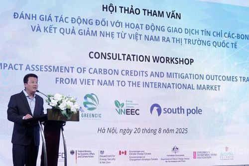 Đánh giá tác động thị trường các-bon: Bước chuẩn bị cho Việt Nam
