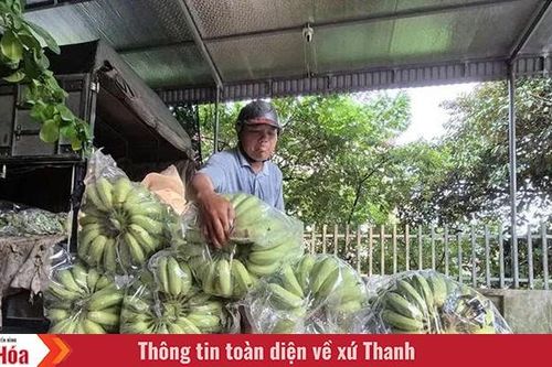 Về làng buôn chuối