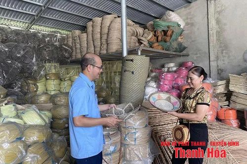 Hiệu quả hoạt động của Quỹ hỗ trợ phát triển HTX