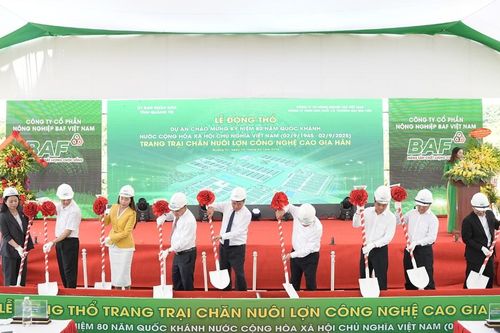 BAF Việt Nam xây dựng trang trại chăn nuôi công nghệ cao 2.000 tỷ đồng tại Quảng Trị