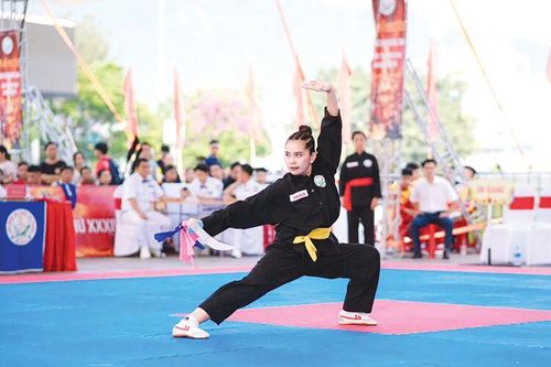 Những nỗ lực của môn võ cổ truyền