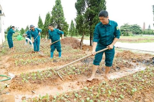 Ban Chỉ huy quân sự cấp xã: Huy động nguồn lực củng cố 'ngôi nhà chung'