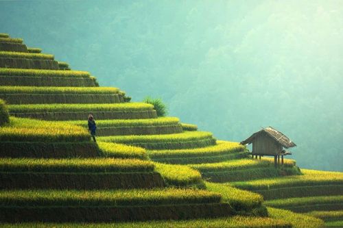 Bản tin Dự báo thời tiết ngày 21/8/2025