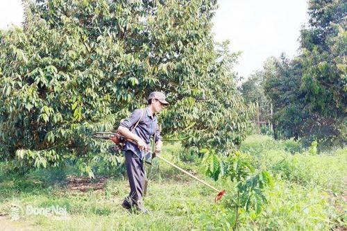 Hạnh phúc từ ý chí mạnh mẽ