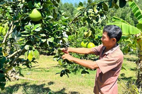 An Lão quyết tâm về đích nông thôn mới vào năm 2027