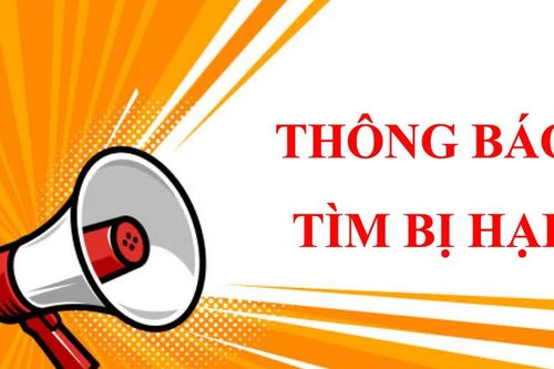 Công an tỉnh Gia Lai tìm bị hại liên quan đến đối tượng Phan Trần Tiến