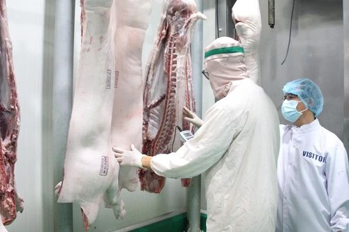 Gia Lai: 26 cơ sở kinh doanh sản phẩm thịt heo được cấp chứng nhận an toàn thực phẩm