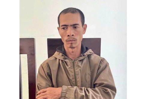 Gia Lai: Kẻ chặt phá vườn cây của người tình lãnh án