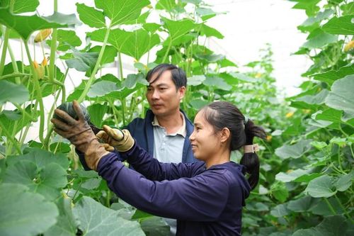Chung sức, đồng lòng đưa nghị quyết vào cuộc sống