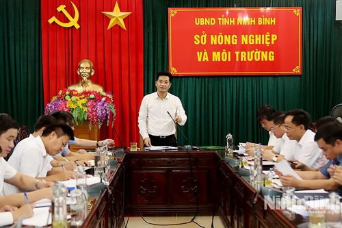 Đồng chí Phó Chủ tịch UBND tỉnh làm việc với Sở Nông nghiệp và Môi trường