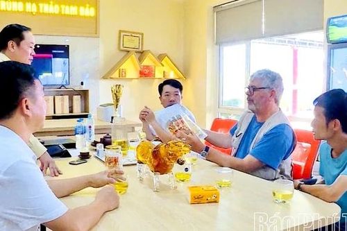 Đông trùng hạ thảo Tam Đảo: Nâng tầm dược liệu Việt