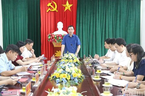 Phó Bí thư Tỉnh ủy Bùi Huy Vĩnh thăm và làm việc với xã Đào Xá