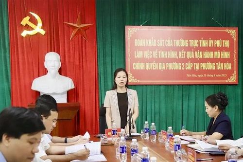 Khảo sát việc vận hành mô hình chính quyền địa phương 2 cấp tại phường Tân Hòa