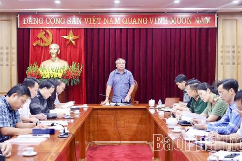 Triển khai tổ chức Vòng loại Giải Bóng đá U23 châu Á 2026