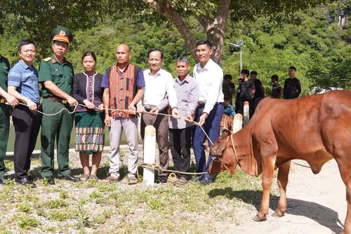 Trao tặng 40 con bò giống sinh sản cho người dân xã Kim Ngân
