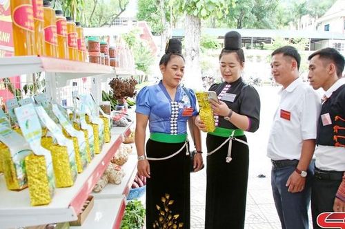 Giúp nông sản Sơn La đứng vững trên thị trường
