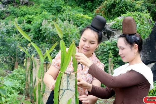 Phụ nữ Sơn La chung sức xây dựng nông thôn mới