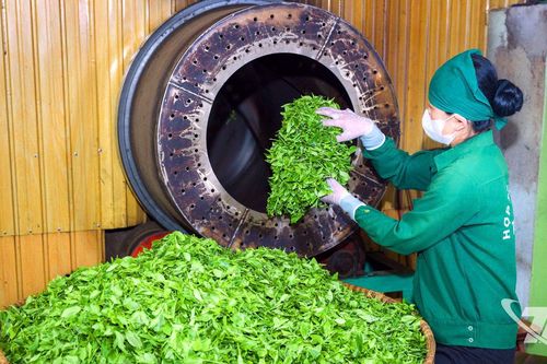Sáng kiến nâng tầm sản phẩm chè