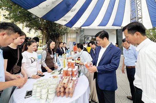 Phát triển nền kinh tế tập thể hiện đại, quy mô