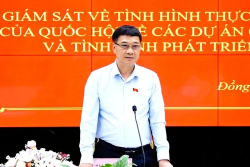 Đồng Nai thực hiện nhanh chóng, hiệu quả các dự án trọng điểm