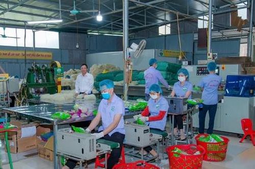 Mì gạo Hùng Lô: Sản phẩm làng nghề 'vươn mình' ra thế giới giúp người dân thoát nghèo