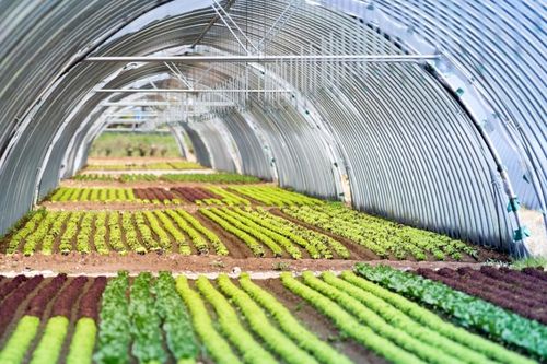 Kinh tế tư nhân và những rào cản trên đường phát triển