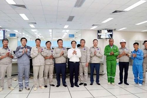 Phó Thủ tướng Bùi Thanh Sơn thăm nhà máy Đạm Phú Mỹ