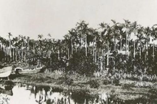 Bài 2: 18 thôn Vườn Trầu và 'gánh hàng' giao liên cho những trận đánh lớn