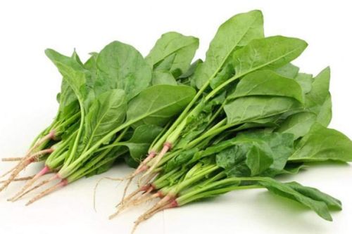 Những người nên hạn chế ăn cải bó xôi, nếu ăn phải chần để tránh gây sỏi thận