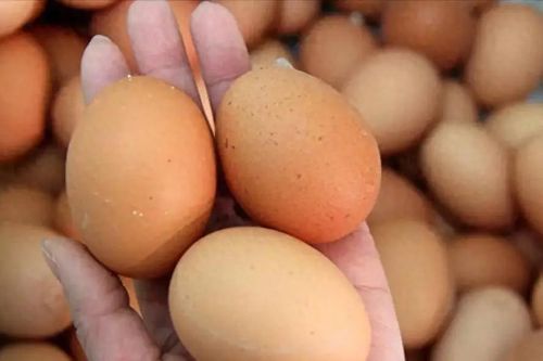 Ăn trứng kiểu này sẽ gây hại cơ thể