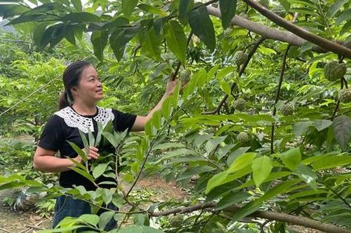 Bình đẳng giới, 'chìa khóa' để phát triển kinh tế gia đình