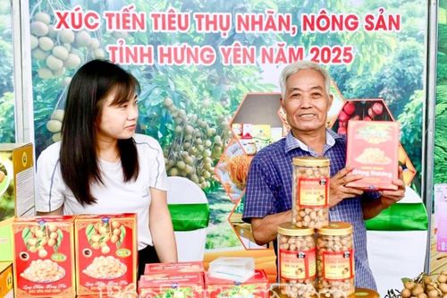Nỗ lực xúc tiến đưa trái nhãn vươn xa