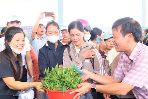 Quảng Ngãi: Phiên chợ 0 đồng - món quà ý nghĩa với bà con có hoàn cảnh khó khăn