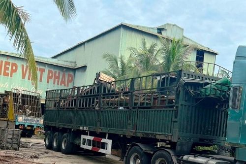 Đà Nẵng: Vì sao Nhà máy thép Việt Pháp kêu cứu?