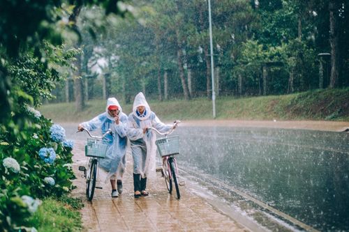 Tránh hiểm họa khi du lịch Đà Lạt mùa mưa